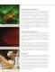 Optically Pumped Semiconductor Lasers - COHERENT