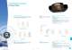 SOFTERFIX� - LA CLUSIENNE CLUFIX