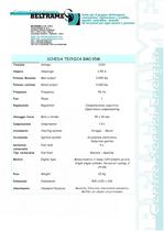 Gasoline generators BM095 