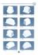 overview of different pad models. - PRINTING INTERNATIONAL