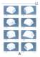 overview of different pad models. - PRINTING INTERNATIONAL