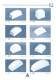 overview of different pad models. - PRINTING INTERNATIONAL