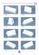 overview of different pad models. - PRINTING INTERNATIONAL