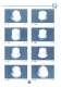 overview of different pad models. - PRINTING INTERNATIONAL