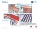 FabriClean� 