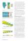 World Cement Article