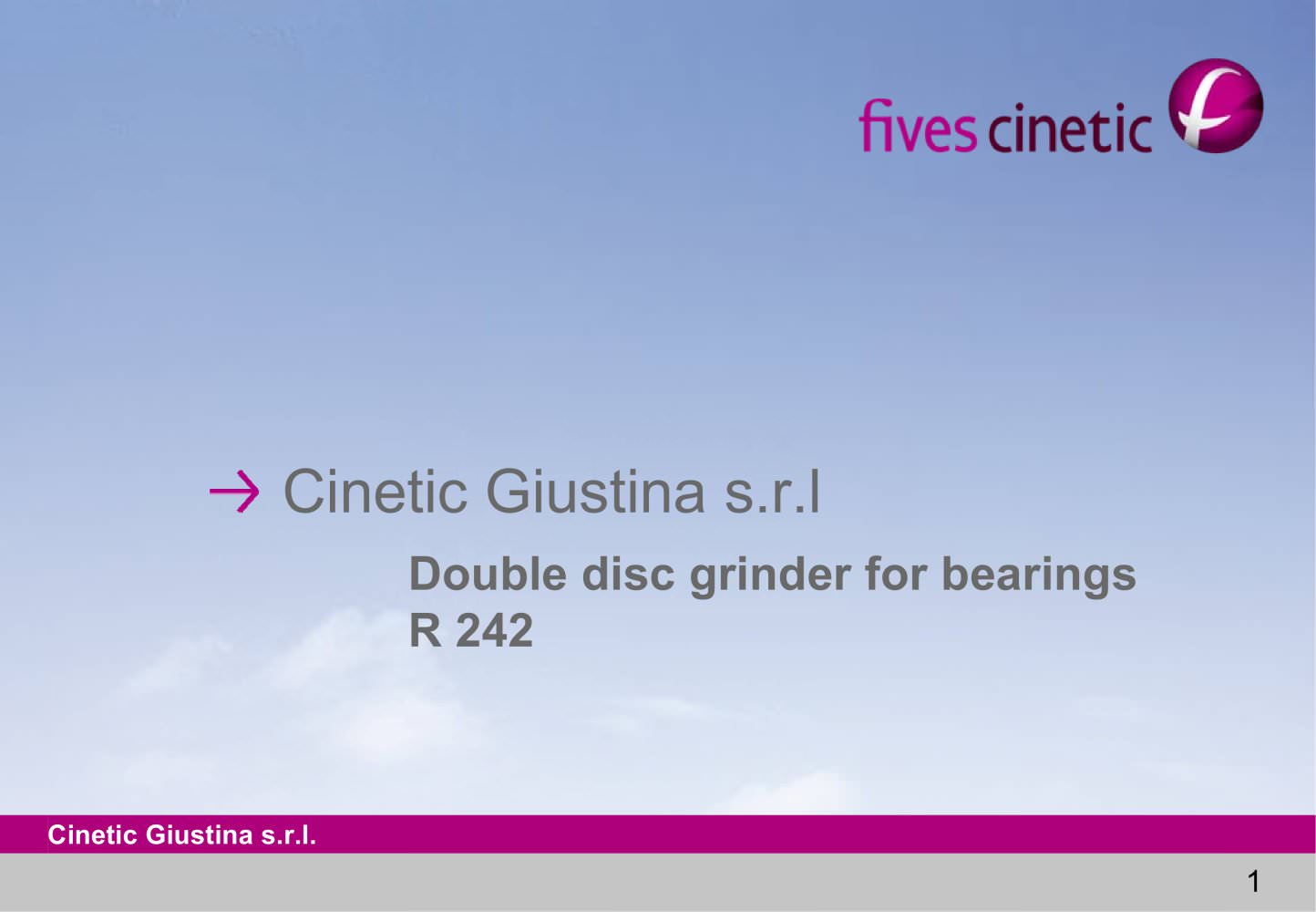 Double Disc Grinders > Giustina R242 - Fives Cinetic