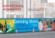 Fortress Steel Hoarding - Blok 'N' Mesh UK Limited