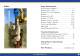 Brochure - Auger Torque Europe Ltd.