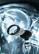 NORDICLIGHTS - Nordic Lights
