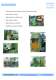 Small Sized Flying Shear Cut to Length Line - Nantong Reliantt Co., Ltd.