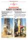 Auger cleaners - DAWSON CONSTRUCTION PLANT LIMITED