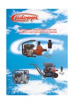 CATALOGUE MOTOPUMPS DOMESTIC