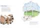 New Westermo Product Guide - Westermo