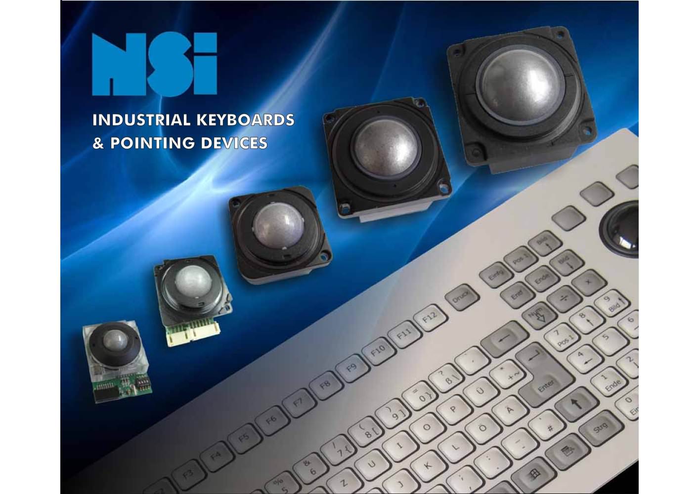 NSI catalog - NSI