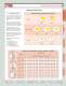 Indexable Cutting Tools - Dorian Tool International