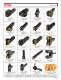 Knurling Tools - Dorian Tool International
