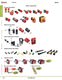 Complete Safety Overview - IDEC