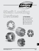 Shaft Locking Devices