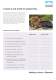 British Standard Chain Product Guide - DIAMOND CHAIN