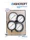 Process&nbsp;Gauges&nbsp;Type&nbsp;1279