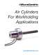 LDZ Air Cylinder Catalog - Microcentric