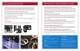 OMAX Corporate brochure - OMAX
