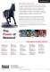 Rexnord� Viva� Elastomeric Couplings Catalog - Rexnord Industries, LLC