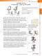 SUPREMA Series Precision Stainless Steel Mirror Mounts