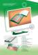 Spaciotempo Sport brochure - SPACIOTEMPO