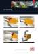 ARO Robotic 3G Gun Brochure - ARO