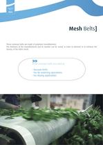 Mesh belts