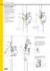 Petzl's 2010 Professional catalog - PETZL SECURITE