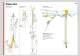 Petzl's 2008 Work & Rescue catalog - PETZL SECURITE