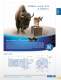 Bison gear general catalog - BISON
