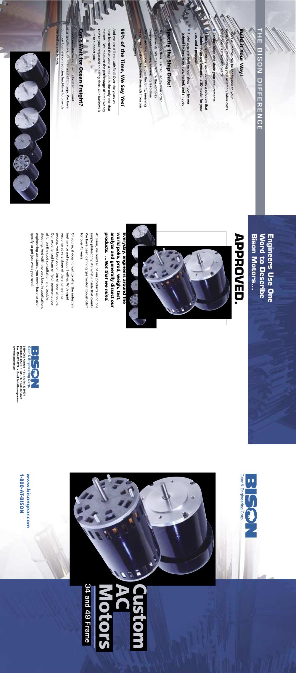 Custom AC Motors - BISON