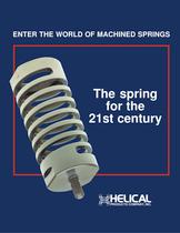 The Spring for the 21st Century 