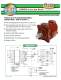 57 Series Standard Motor - RINEER