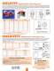 Catalog for Self-Sealing Fasteners, Threadlockers & Self-Sealing Washers - APM HEXSEAL