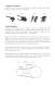 Basic Training - LEESON Electric