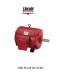 Fire Pump Motors