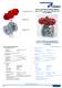 Valves Operated by Pneumatic Actuators - PRISMA