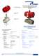 Valves Operated by Pneumatic Actuators - PRISMA
