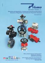 Elements of Regulation and Control for Pneumatic Actuators