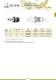 DIN 69871 - LAIP
