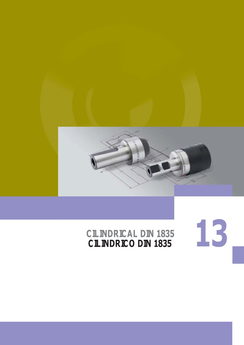 CILINDRICAL DIN 1835 - LAIP