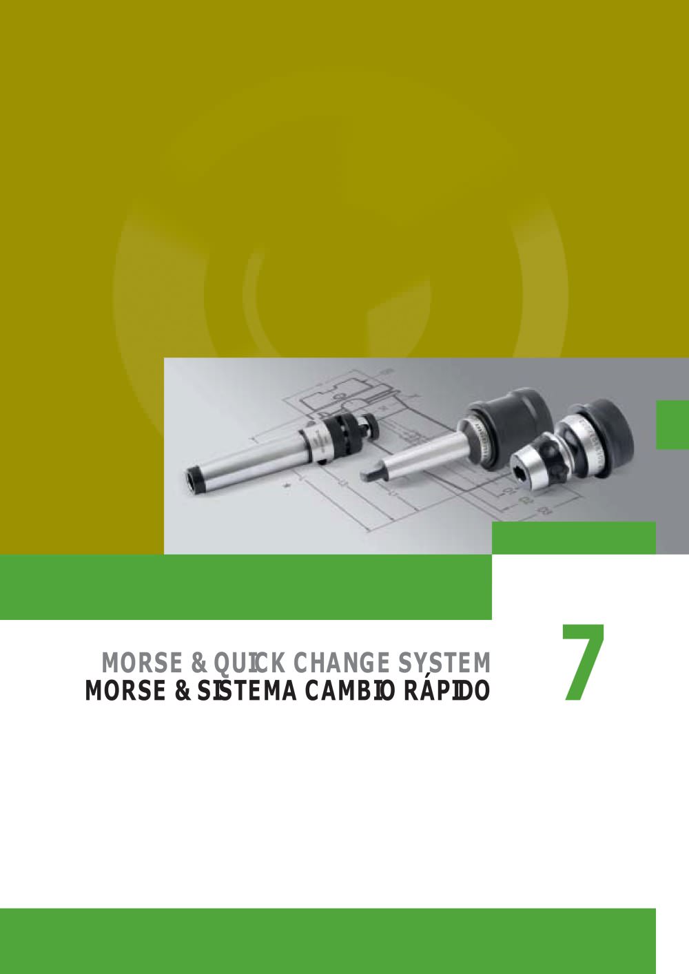 MORSE & QUICK CHANGE SYSTEM - LAIP