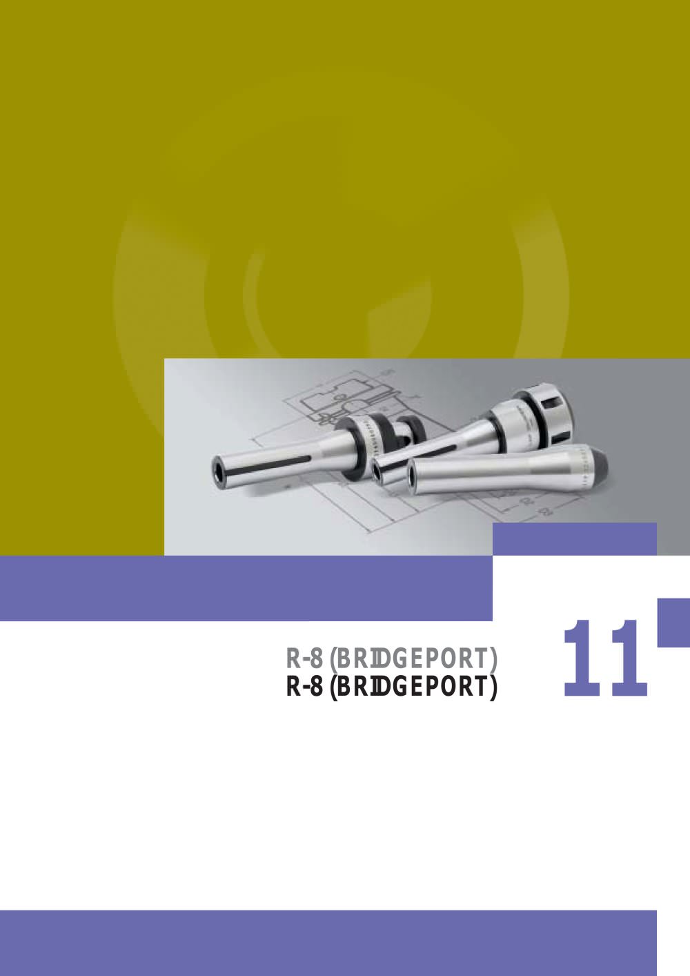 R-8 (BRIDGEPORT) - LAIP