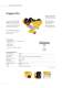 Product Overview Festoon-Systems for I-Beams - Conductix-Wampfler