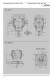 Spiral bevel gearboxes - VOGEL